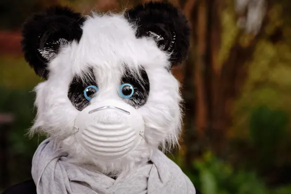 BitReels Casino Stuðningur